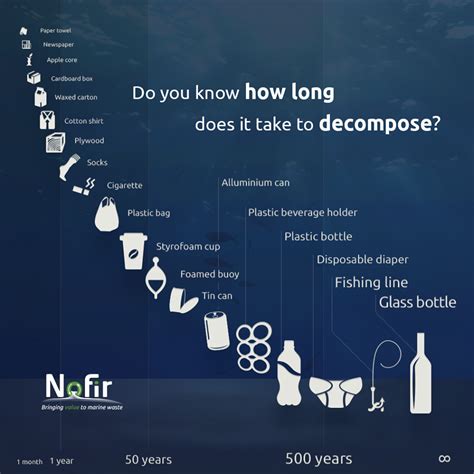 How long does plastic take to decompose. Things To Know About How long does plastic take to decompose. 